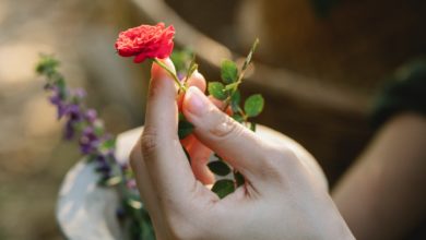 Décorer un petit jardin : nos conseils