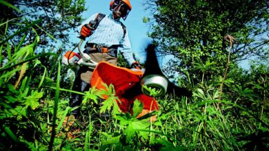 Location d’outillage de jardin : quels intérêts ?